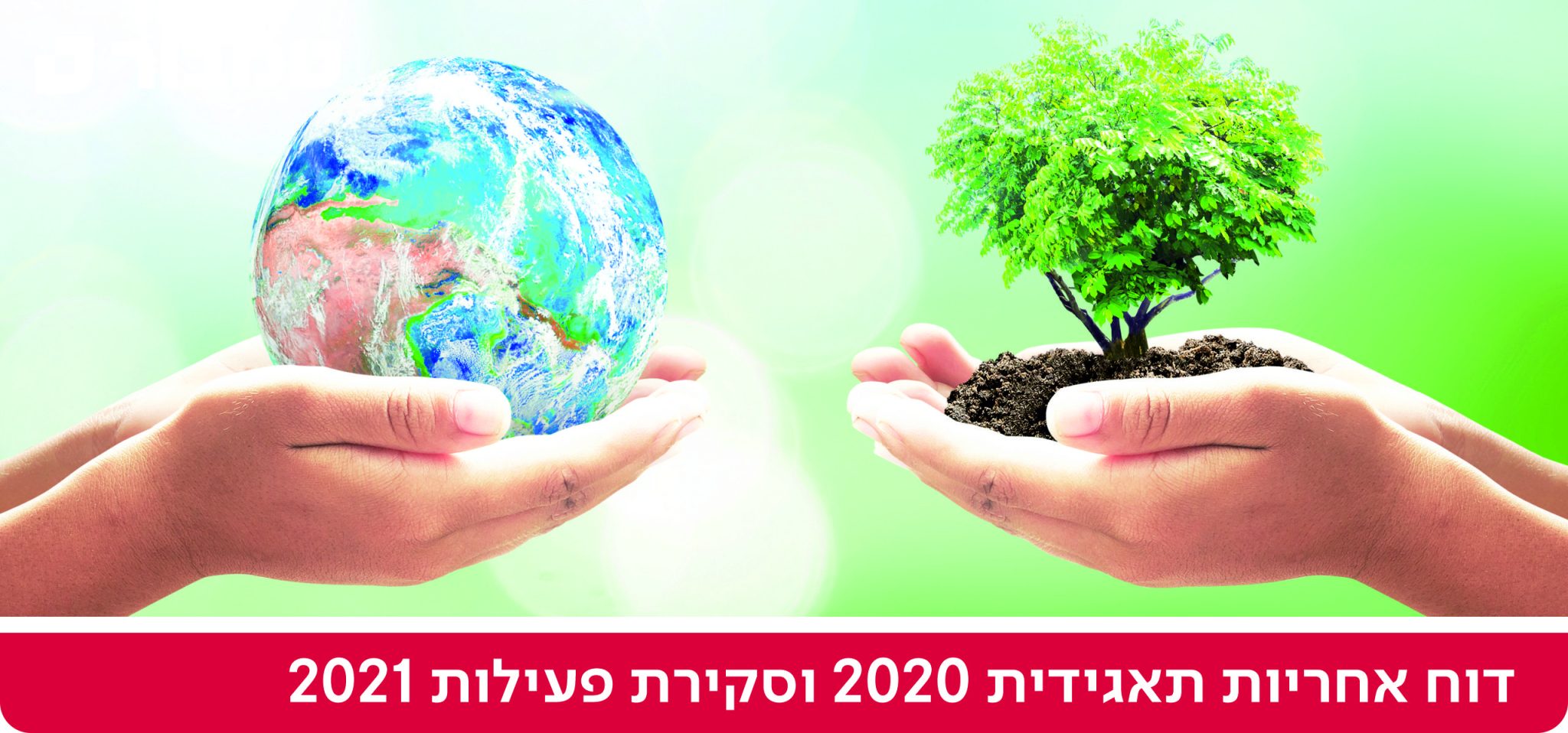 באנר-דוד-אחריות-תאגידית-וסקירת-פעילות-2048x958