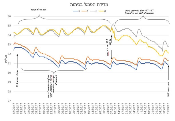תמונה1