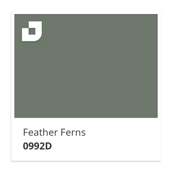 Feather Ferns