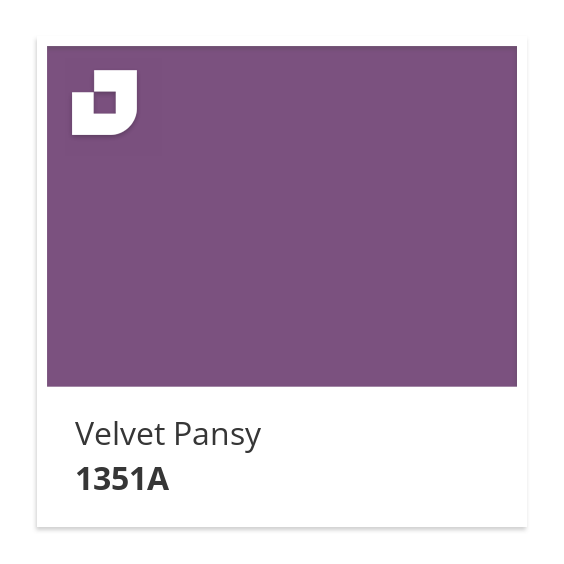 Velvet Pansy
