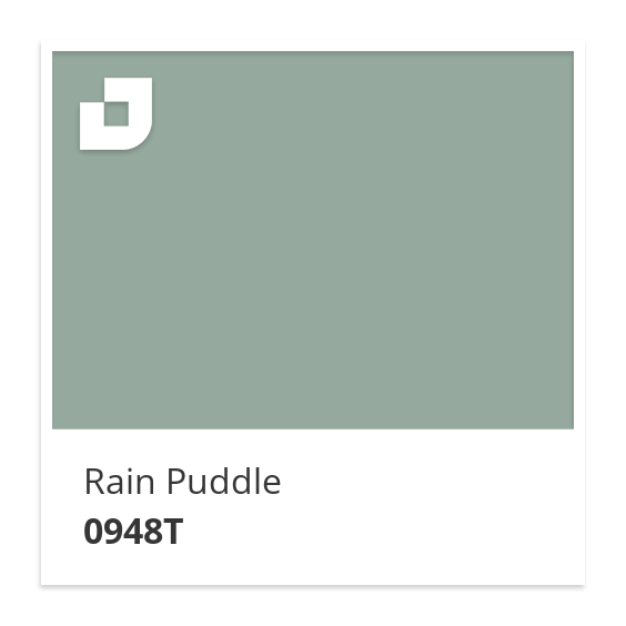 Rain Puddle