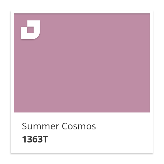 Summer Cosmos