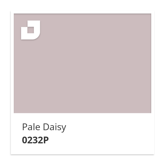 Pale Daisy