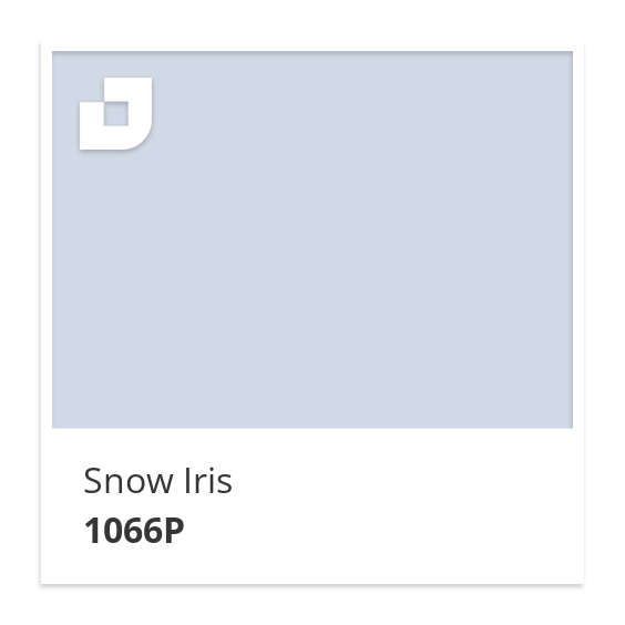 Snow Iris