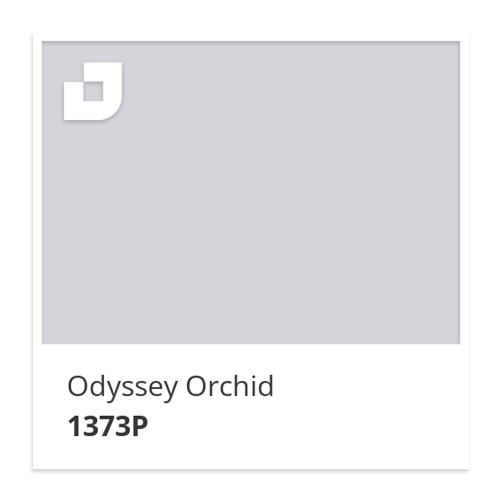 Odyssey Orchid