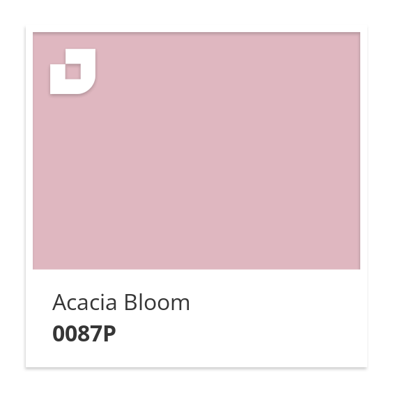 Acacia Bloom