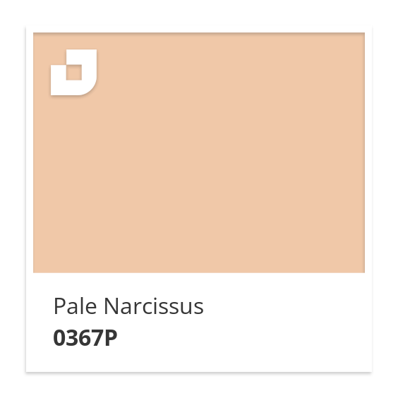 Pale Narcissus