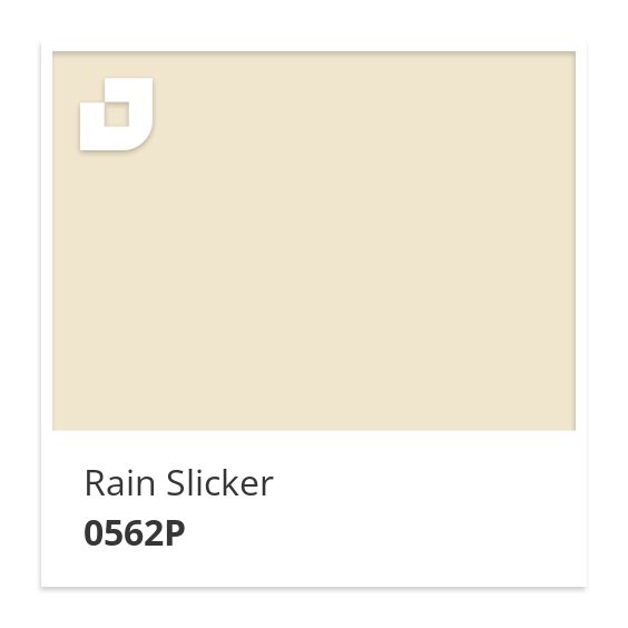 Rain Slicker