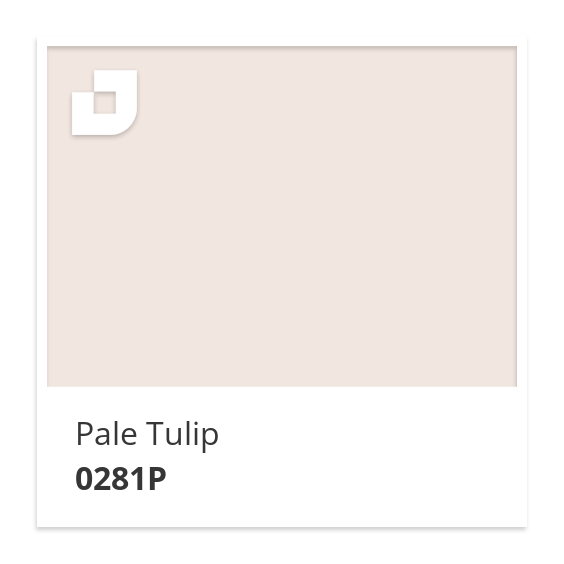 Pale Tulip