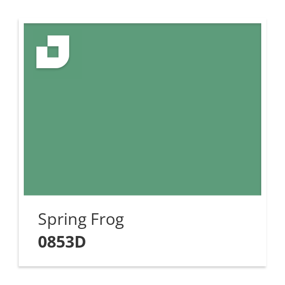Spring Frog